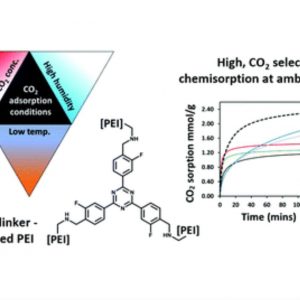 Overcoming mass transfer limitations in cross-linked polyethyleneimine-based adsorbents to enable selective CO2 capture at ambient temperature